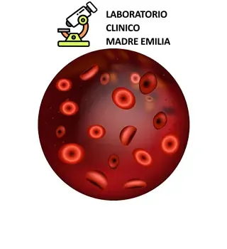 Perfil De Anemia